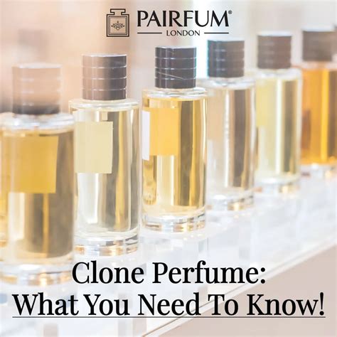 copycat perfume website